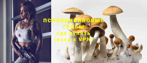 хмурый Алексеевка