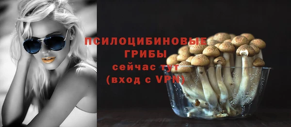 хмурый Алексеевка