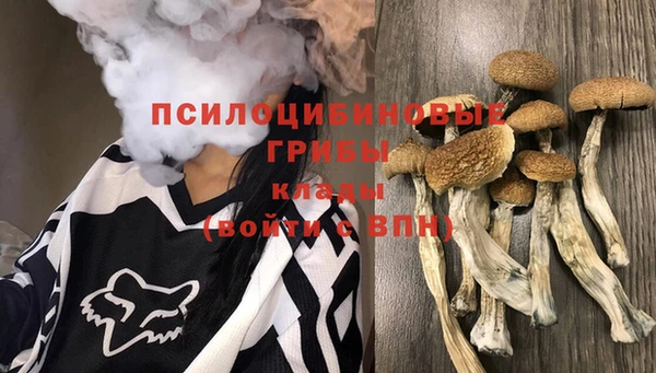 прущая мука Алексин