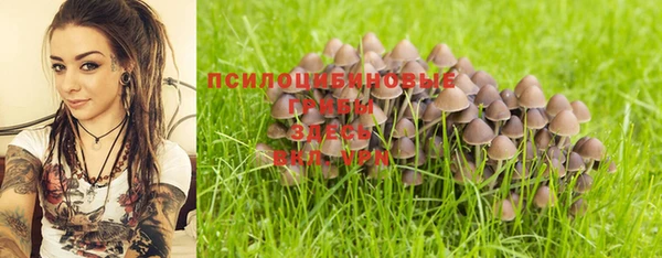 прущая мука Алексин