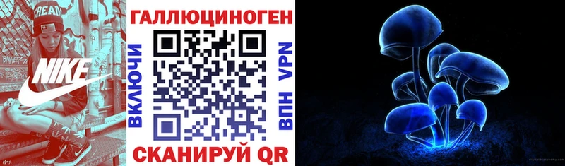 KRAKEN tor  Чкаловск  Галлюциногенные грибы MAGIC MUSHROOMS 